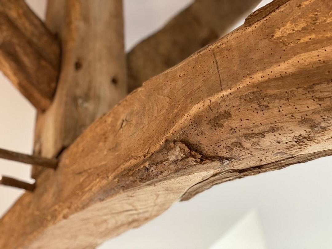 Le Domaine D'Angerville - Chambres D'Hotes Habitación foto